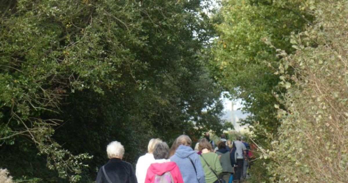 Bideford, East the Water